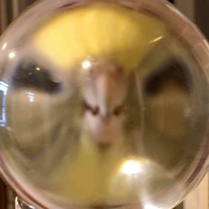 Meet your Posher, Marguerite